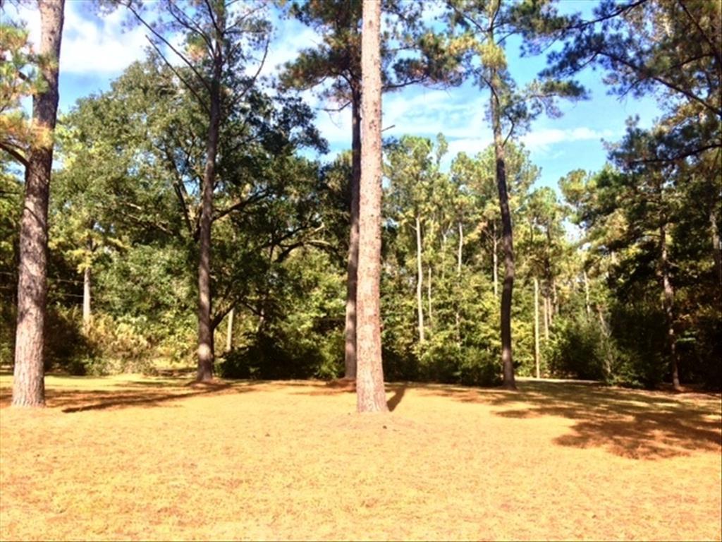 10912 Pecan Dr, Fairhope, AL 36532