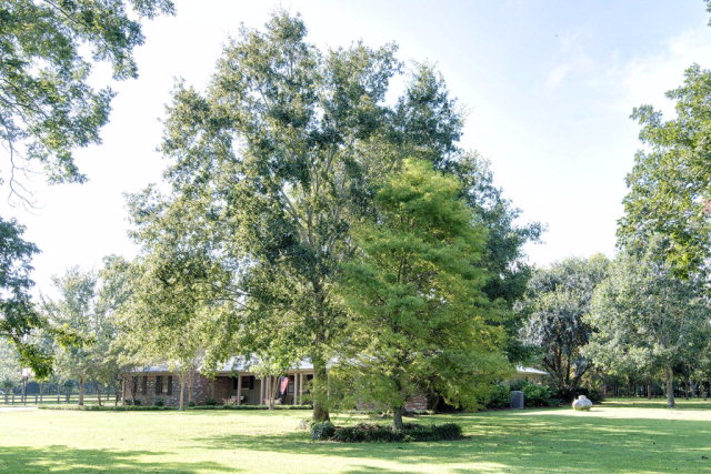 8830 County Road 24, Fairhope, AL 36532