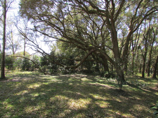 8678 Rolling Oaks Lane, Fairhope, AL 36532