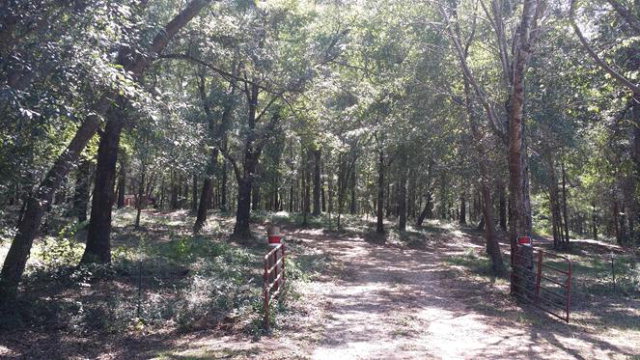13410 Highway 98, Magnolia Springs, AL 36535