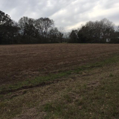 0 County Road 10, Foley, AL 36535