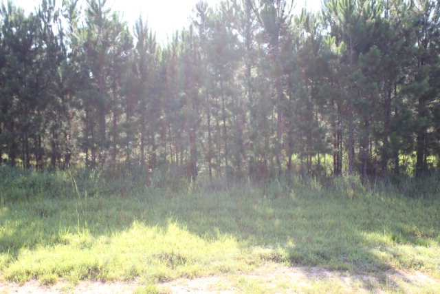 19815 County Road 12, Foley, AL 36535