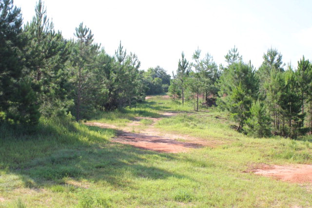 19815 County Road 12, Foley, AL 36535