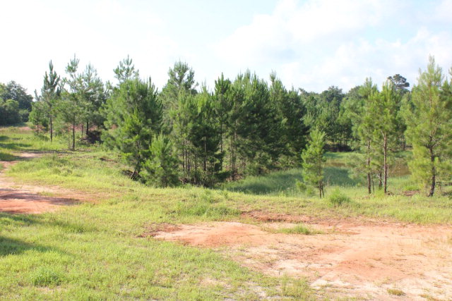 19815 County Road 12, Foley, AL 36535