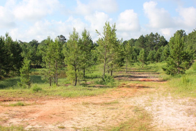 19815 County Road 12, Foley, AL 36535