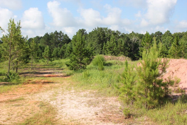 19815 County Road 12, Foley, AL 36535