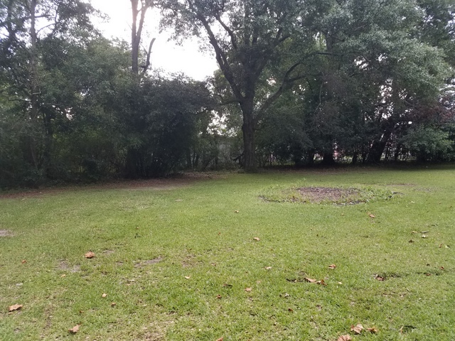 12711 Cunningham RdGrand Bay, AL, 36541Mobile County