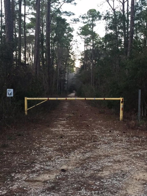 0 Fort Morgan Hwy, Gulf Shores, AL 36542