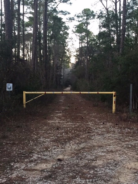 0 Fort Morgan Hwy, Gulf Shores, AL 36542