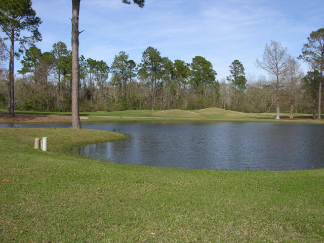 13 St. Andrews Dr, Gulf Shores, AL 36542