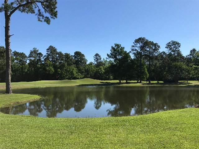 725 St. Andrews Dr, Gulf Shores, AL 36542