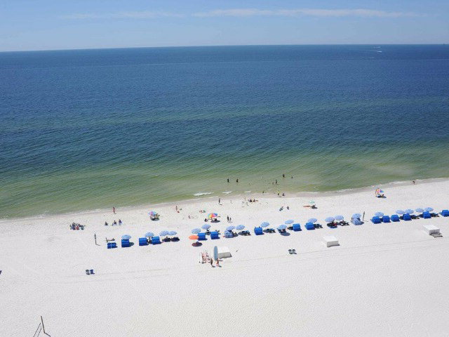 401 Beach Blvd, Gulf Shores, AL 36542
