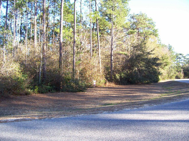 5628 Mill House Rd, Gulf Shores, AL 36542