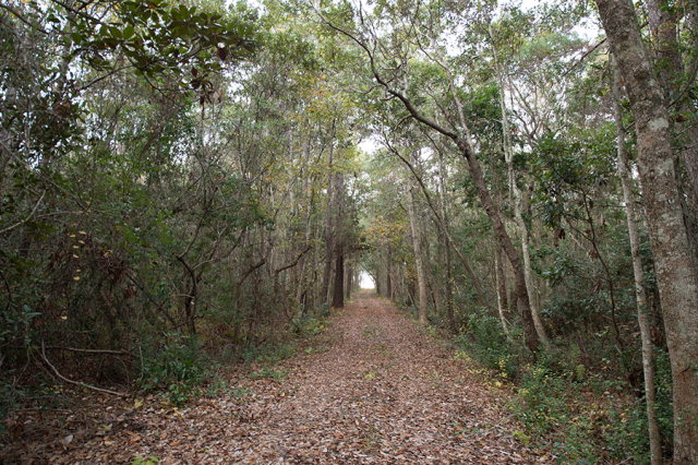 1400 Ft Morgan Rd, Gulf Shores, AL 36542