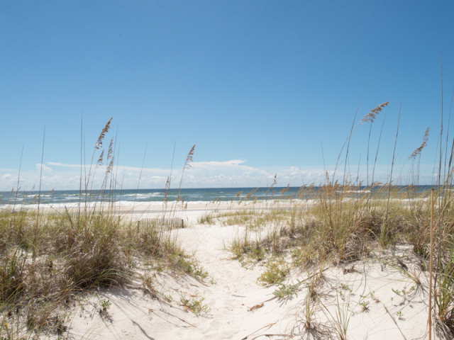 1569 West Beach Boulevard, Gulf Shores, AL 36542