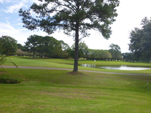343 Royal Dr, Gulf Shores, AL 36542