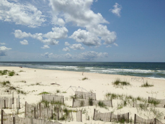 4366 West Highway 180, Gulf Shores, AL 36542