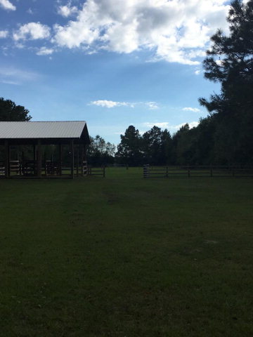 21490 Cotton Creek Dr, Gulf Shores, AL 36542