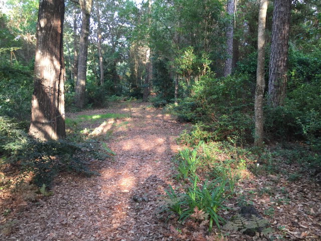 9272 County Road 99, Lillian, AL 36549