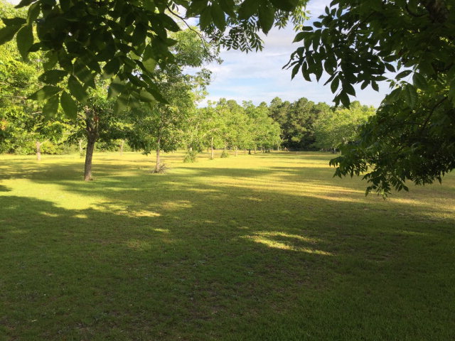 9272 County Road 99, Lillian, AL 36549