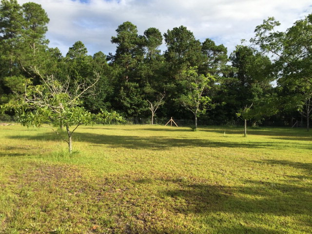 9272 County Road 99, Lillian, AL 36549