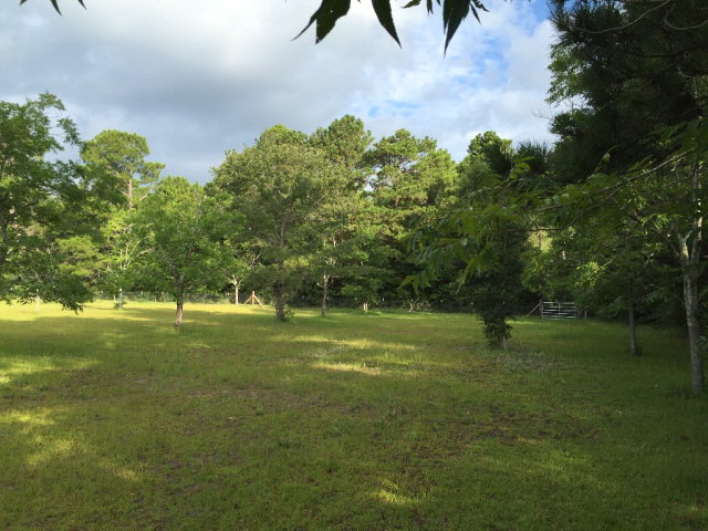 9272 County Road 99, Lillian, AL 36549
