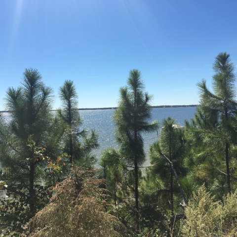 0 County Road 91, Lillian, AL 36549