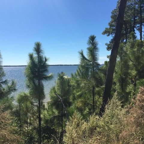 0 County Road 91, Lillian, AL 36549