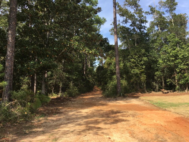 0 County Road 91, Lillian, AL 36549
