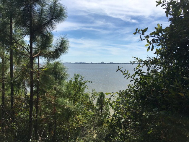 0 County Road 91, Lillian, AL 36549