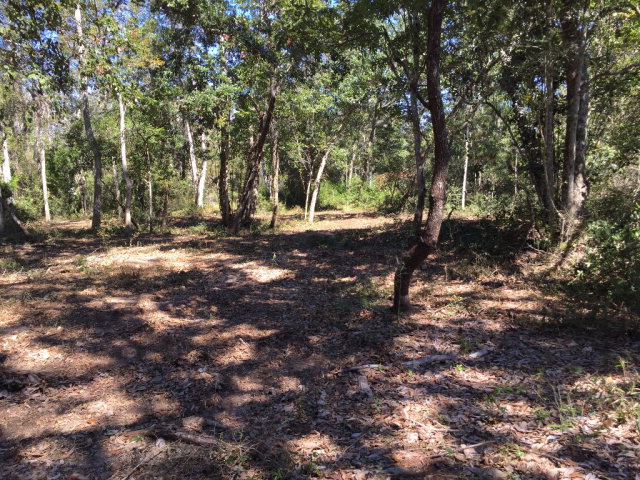 1 Coyle Lane, Lillian, AL 36549