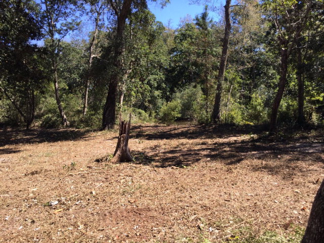 1 Coyle Lane, Lillian, AL 36549