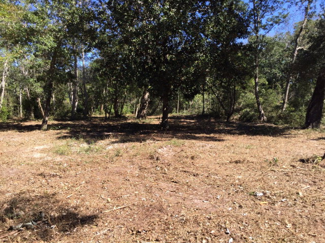 1 Coyle Lane, Lillian, AL 36549