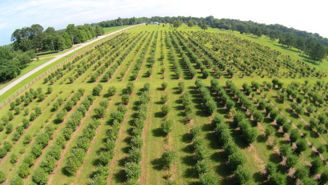 27608 County Road 65, Loxley, AL 36551