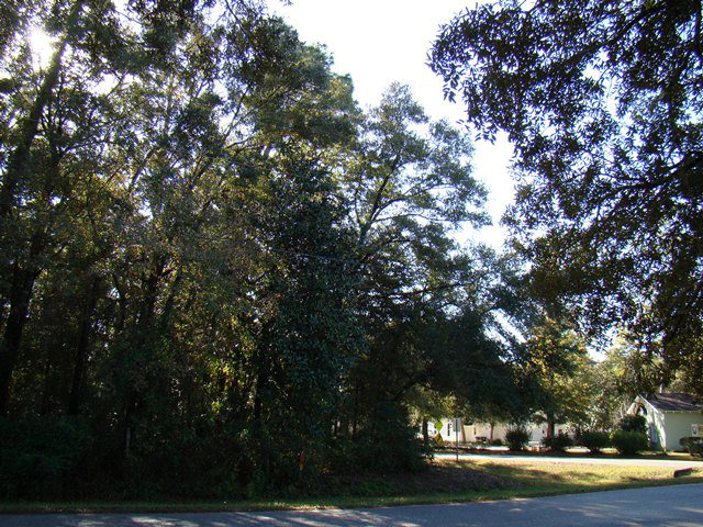 0 Gates Av, Magnolia Springs, AL 36555