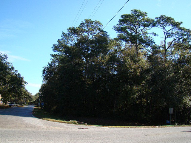 0 Gates Av, Magnolia Springs, AL 36555