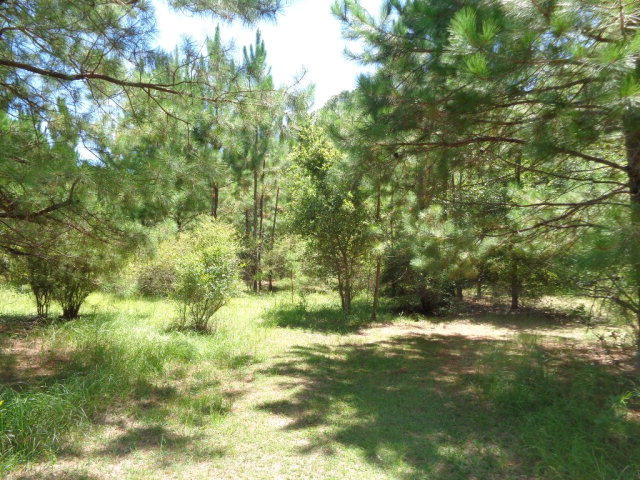 0 County Road 49, Magnolia Springs, AL 36555