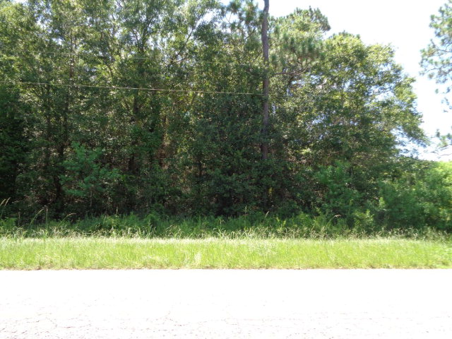 0 County Road 49, Magnolia Springs, AL 36555