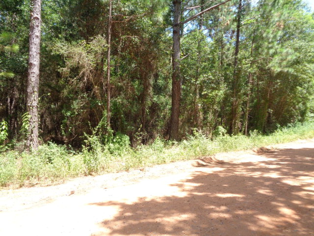 0 County Road 49, Magnolia Springs, AL 36555