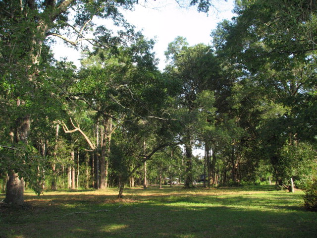 14740 Oak Street, Magnolia Springs, AL 36555
