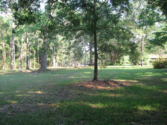14740 Oak Street, Magnolia Springs, AL 36555