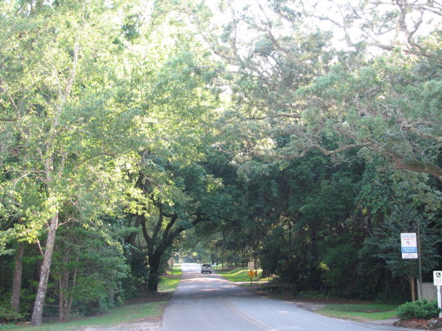 14740 Oak Street, Magnolia Springs, AL 36555