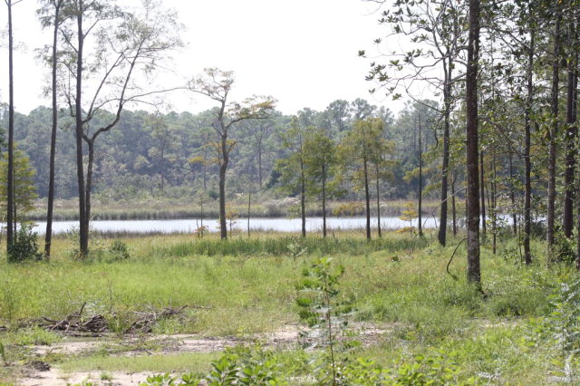 13315 Young Lane, Magnolia Springs, AL 36555
