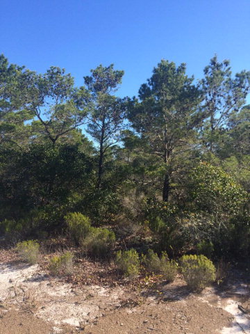 0 Oak Drive, Orange Beach, AL 36561