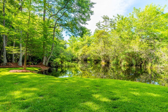 5138 Pine Road, Orange Beach, AL 36561