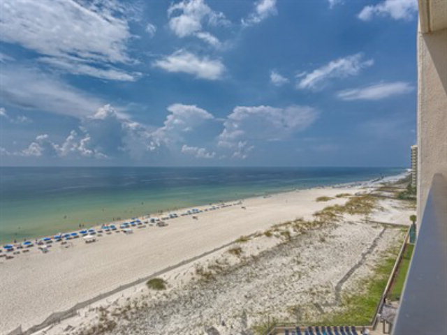 Orange Beach, AL 36561