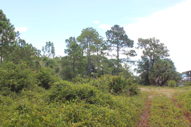 161 Highway 161, Orange Beach, AL 36561