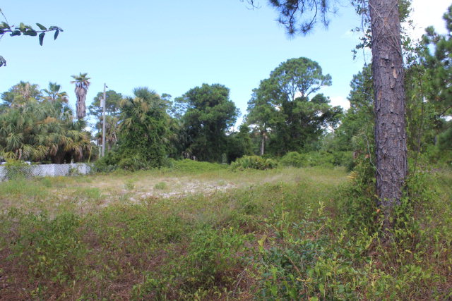 161 Highway 161, Orange Beach, AL 36561