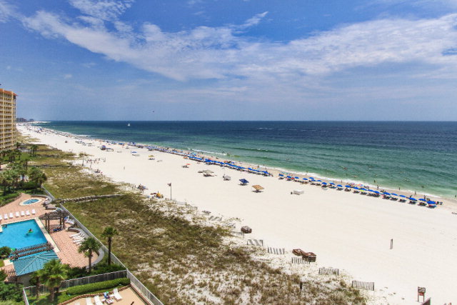 24880 Perdido Beach Blvd 805, Orange Beach, AL 36561