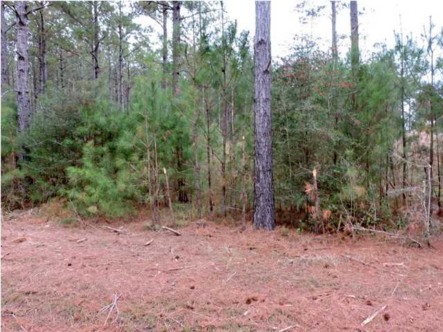 0 COWPEN CREEK ROAD, Robertsdale, AL 36567